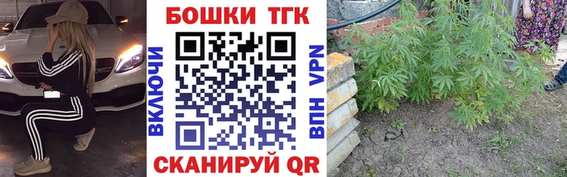 Бошки Шишки семена  Беслан 